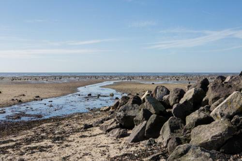 Aparthotel Terschelling Hotel Tjermel�n