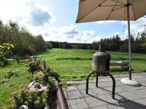 Cozy Holiday Home In Hollandscheveld With Forest Nearby