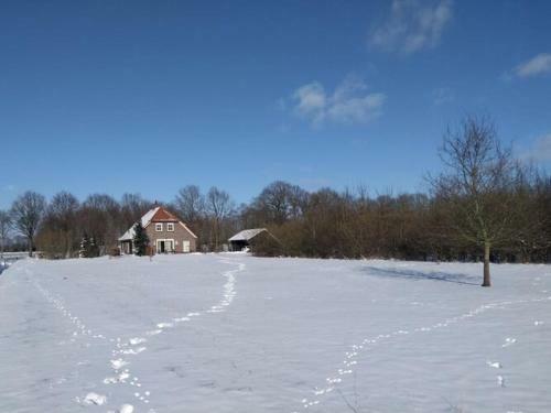 Cozy Holiday Home In Hollandscheveld With Forest Nearby