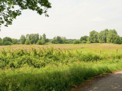 Cozy Holiday Home In Hollandscheveld With Forest Nearby