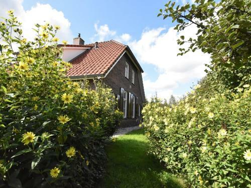 Cozy Holiday Home In Hollandscheveld With Forest Nearby