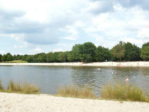 Cozy Holiday Home In Hollandscheveld With Forest Nearby