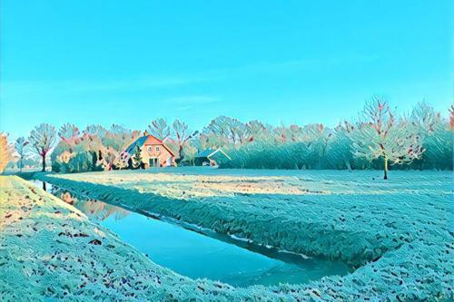 Cozy Holiday Home In Hollandscheveld With Forest Nearby