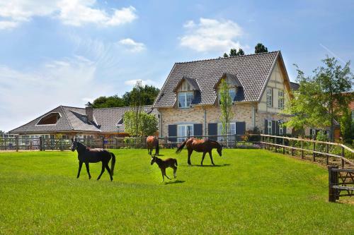 Bed & Breakfast Buitenplaats Welsdael