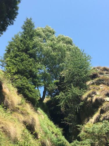 Albergue Ostello Landarenca