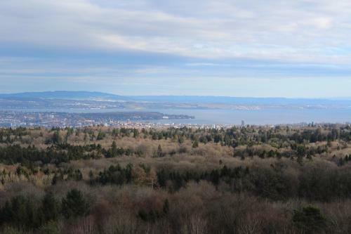 Apartamento Studio Zum Wohlf�hlen In Kreuzlingen