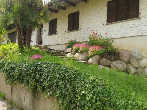 Casa Parentela