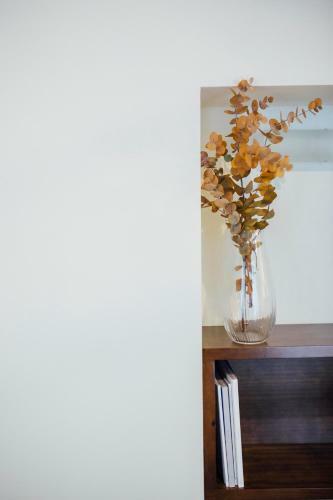 Apartamento One&lux Byron Suites
