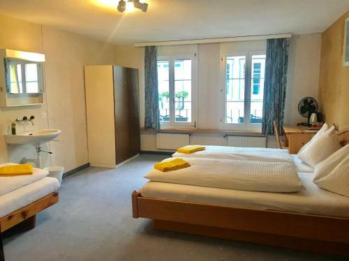 Interlaken H/c Apartment