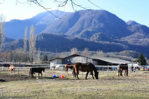 Hostal Ergomotion Losone Michio