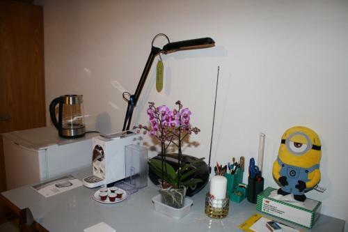 Hostal Ergomotion Losone Michio
