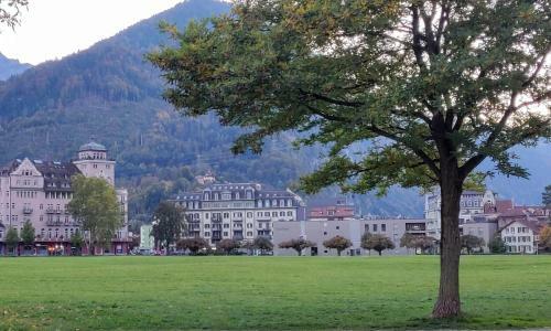 Swiss Interlaken Apartment "luxury"
