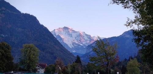 Swiss Interlaken Apartment "luxury"
