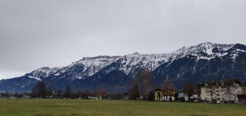 Swiss Interlaken Apartment "luxury"