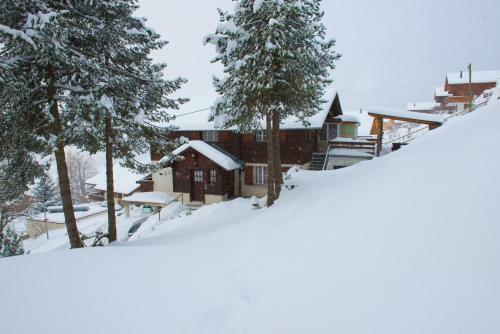 Apartamento Chalet Serpolet - Studio