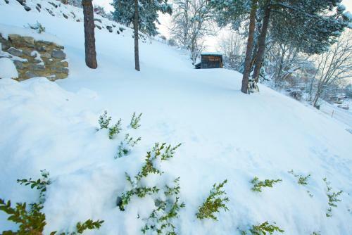 Apartamento Chalet Serpolet - Studio