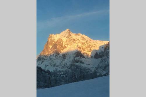 Apartamento Chalet Alta Am Fusse Der Eigernordwand