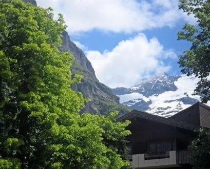 Apartamentos Pfaffenst�ckli