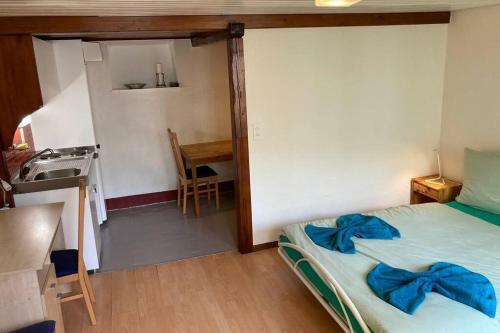 Apartamento Charmant Studio Au Centre De Lausanne