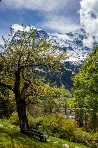 Chalet Caramelle