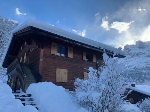 Apartamento Chalet Sunneblick