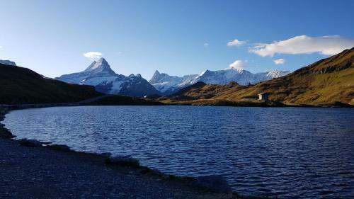 Apartamento Chalet Sunneblick