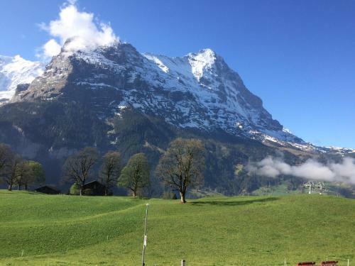 Eiger, Jungfrau, Luxury Garden Apartment