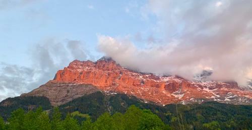 Eiger, Jungfrau, Luxury Garden Apartment