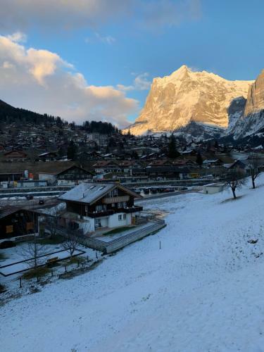 Eiger, Jungfrau, Luxury Garden Apartment