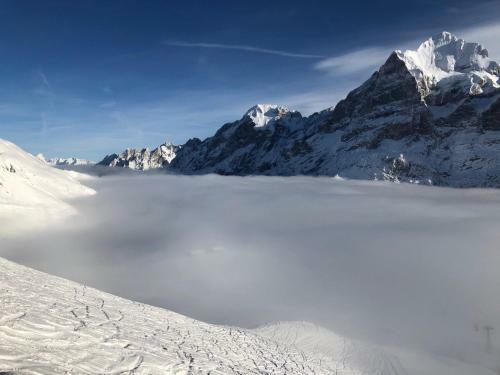 Chalet Carve - Apartments Eiger, Moench And Jungfrau