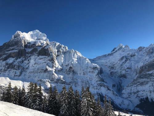 Chalet Carve - Apartments Eiger, Moench And Jungfrau