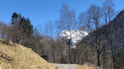 Chalet Carve - Apartments Eiger, Moench And Jungfrau