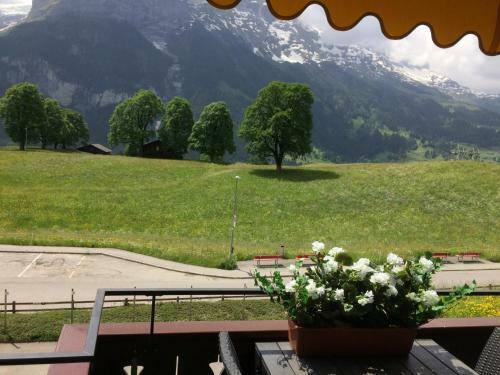 Apartamento Luxury, New - Amazing Views Grindelwald Eiger Jungfrau M�nch