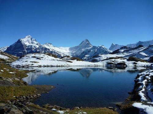 Apartamento Luxury, New - Amazing Views Grindelwald Eiger Jungfrau M�nch