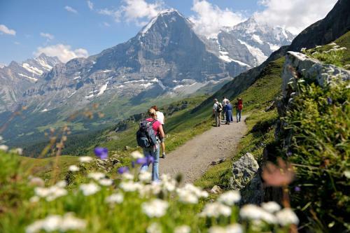 Apartamento Luxury, New - Amazing Views Grindelwald Eiger Jungfrau M�nch