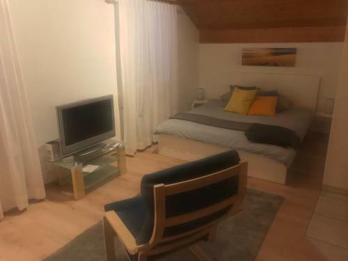 Apartamento Studio Central Grindelwald