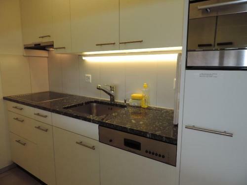 Apartamento Ladina 76 (215 Sh)