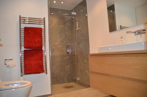 Apartamentos Alpine Lodge Parc Linard