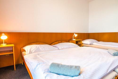 Horsk� Hotel Kozubov�