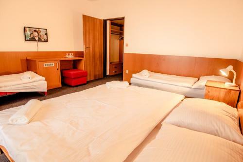 Horsk� Hotel Kozubov�