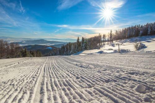 Horsk� Hotel Kozubov�