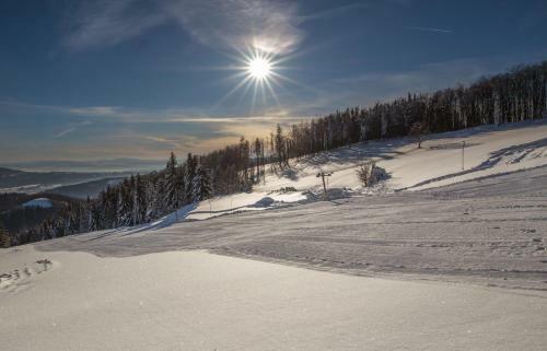 Horsk� Hotel Kozubov�