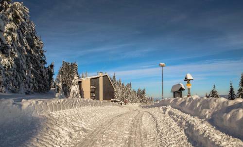 Horsk� Hotel Kozubov�