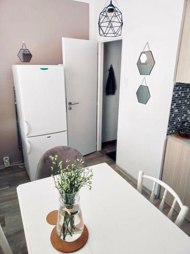 Apartm�n Domov D??�n