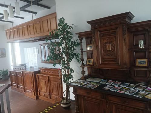 Hostal Penzion Pod Z�mkem