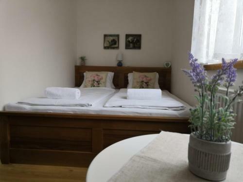 Hostal Penzion A Vinn� Skl�pek U Kozl�k?