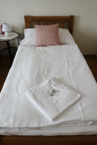 Hostal Penzion A Vinn� Skl�pek U Kozl�k?