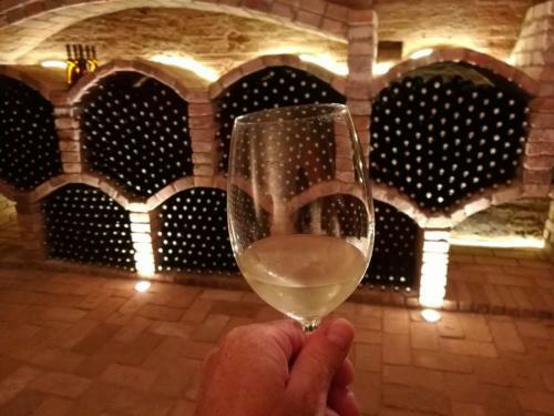 Hostal Penzion A Vinn� Skl�pek U Kozl�k?
