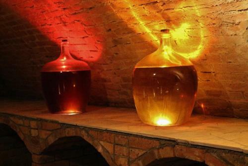 Hostal Penzion A Vinn� Skl�pek U Kozl�k?