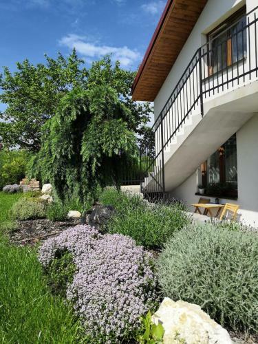 Hostal Penzion A Vinn� Skl�pek U Kozl�k?